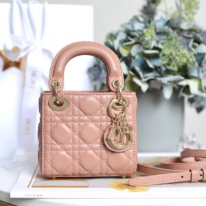 Dior S0856 Pink Lady Dior Micro Bag