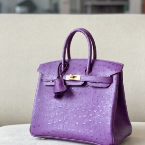 HermèS Birkin25 Purple Handmade Ostrich Skin Birkin 25cm