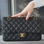 Chanel Black & Gold Hardware Italian Imported Cowhide Classic Handbag
