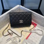 Chanel Rhinestone Series Wallet On Chain