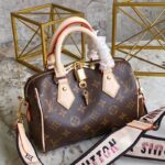 louis vuitton m46234 speedy