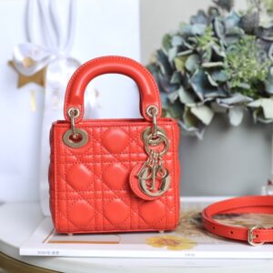 Dior S0856 Orange Lady Dior Micro Bag